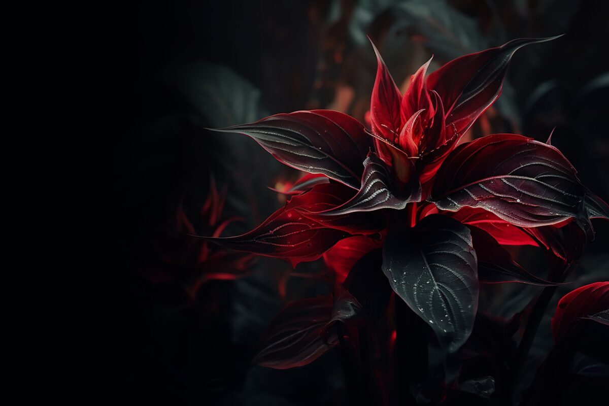 blog skin zinest 02 1200x800 1 - art curves | منحنيات الفن